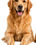 ★★★★★